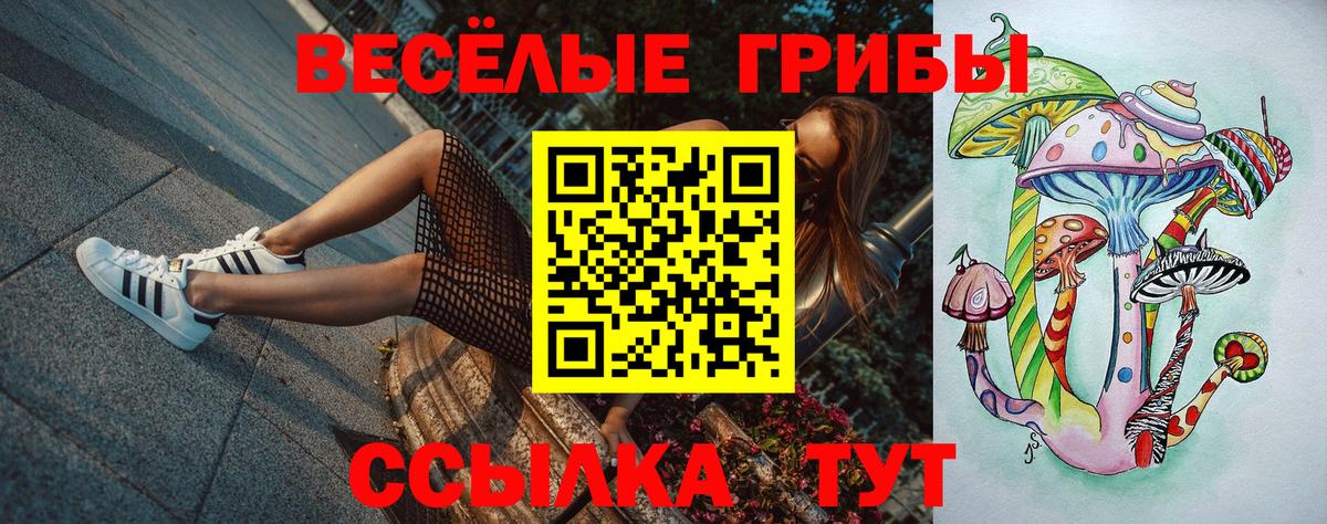 Вышний Волочёк  Псилоцибиновые грибы мицелий  Вход с VPN 