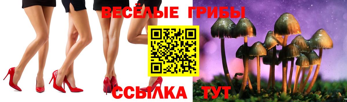 Марихуана Вышний Волочёк